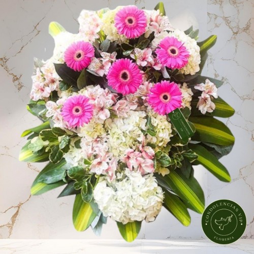 LAGRIMA GERBERAS DE PISO