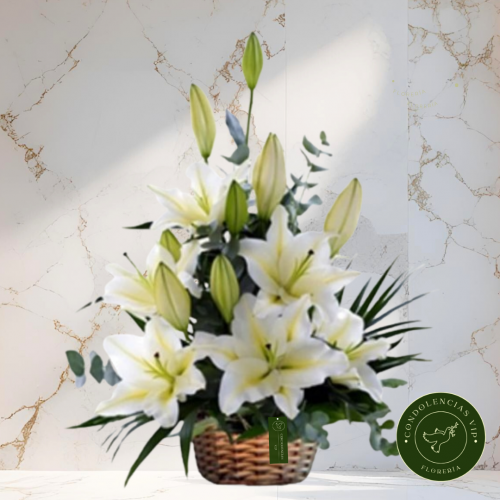 CANASTA LILIUM
