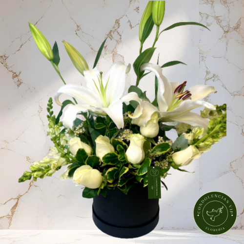 BOX LILIUM Y ROSAS