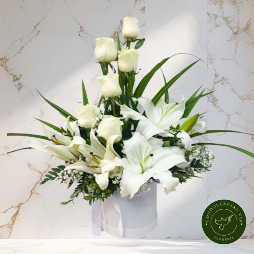 BOX ROSAS Y LILIUM